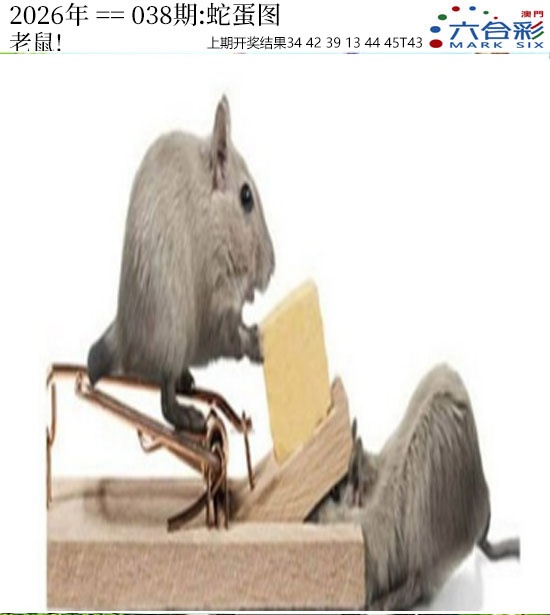 038期正版蛇蛋图[图]