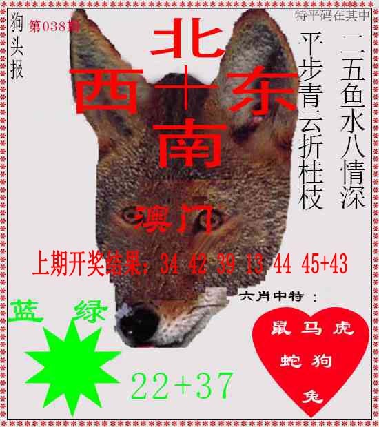038期狗头报[图]