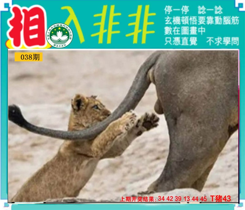 038期相入非非[图]