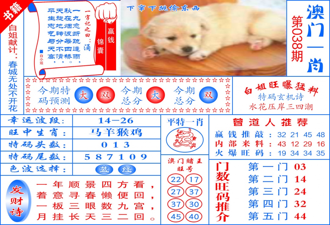 038期澳门东北虎[图]