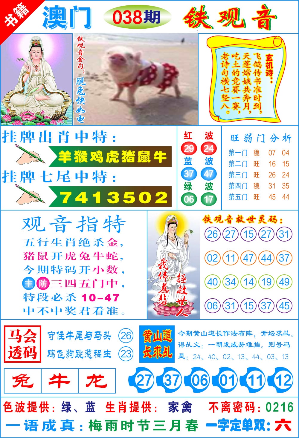 038期澳门铁观音[图]