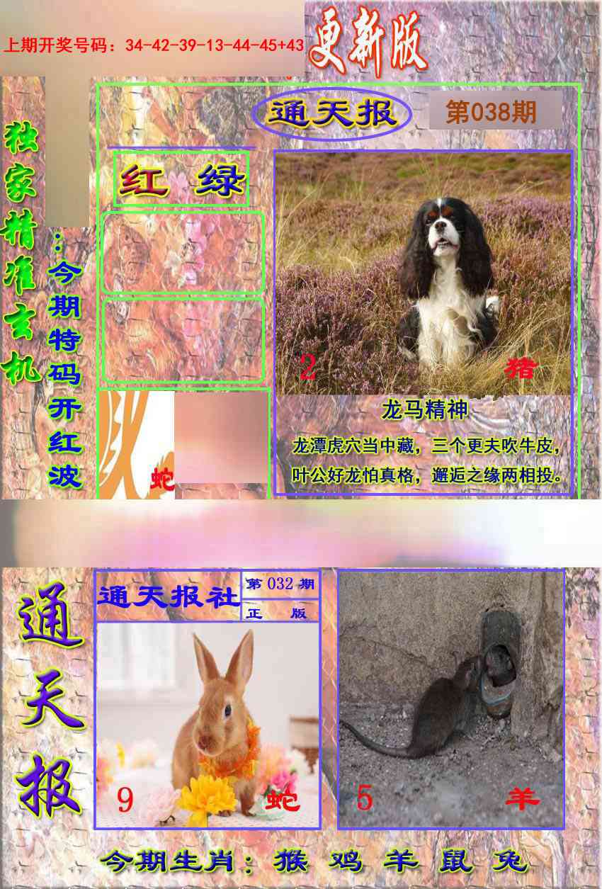 038期新通报[图]