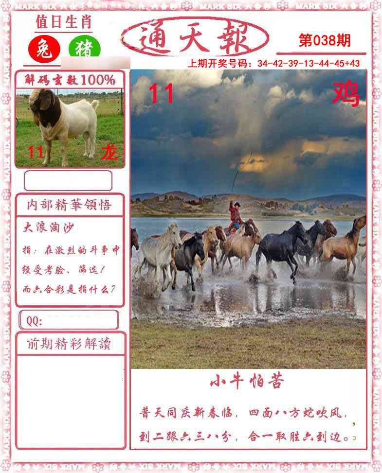 038期正版通天报[图]