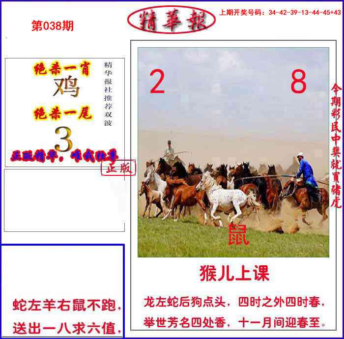 038期新精华报报[图]