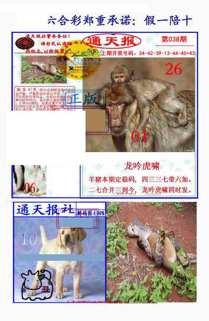 038期假一陪十通天报[图]