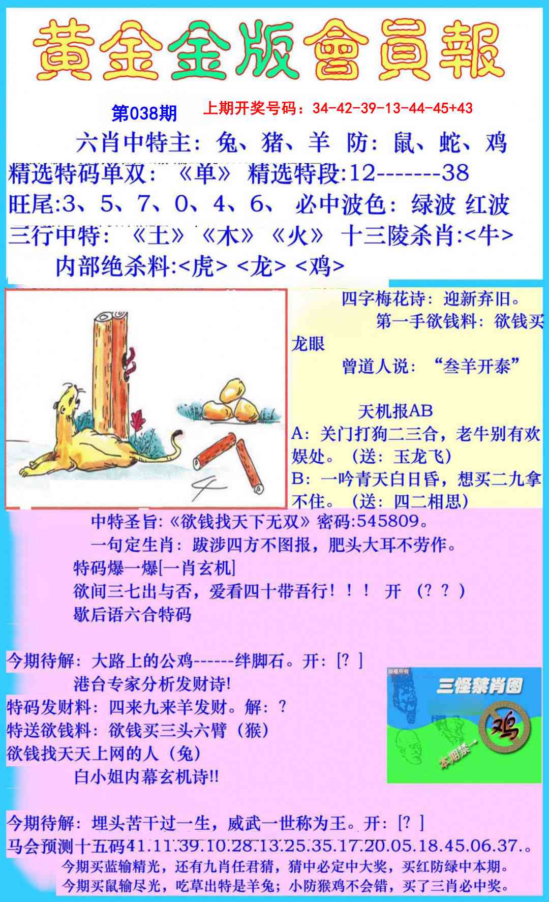 038期黄金金版会员报[图]