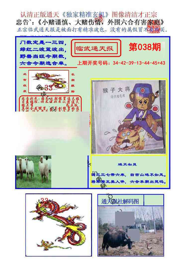 038期临武通天报[图]