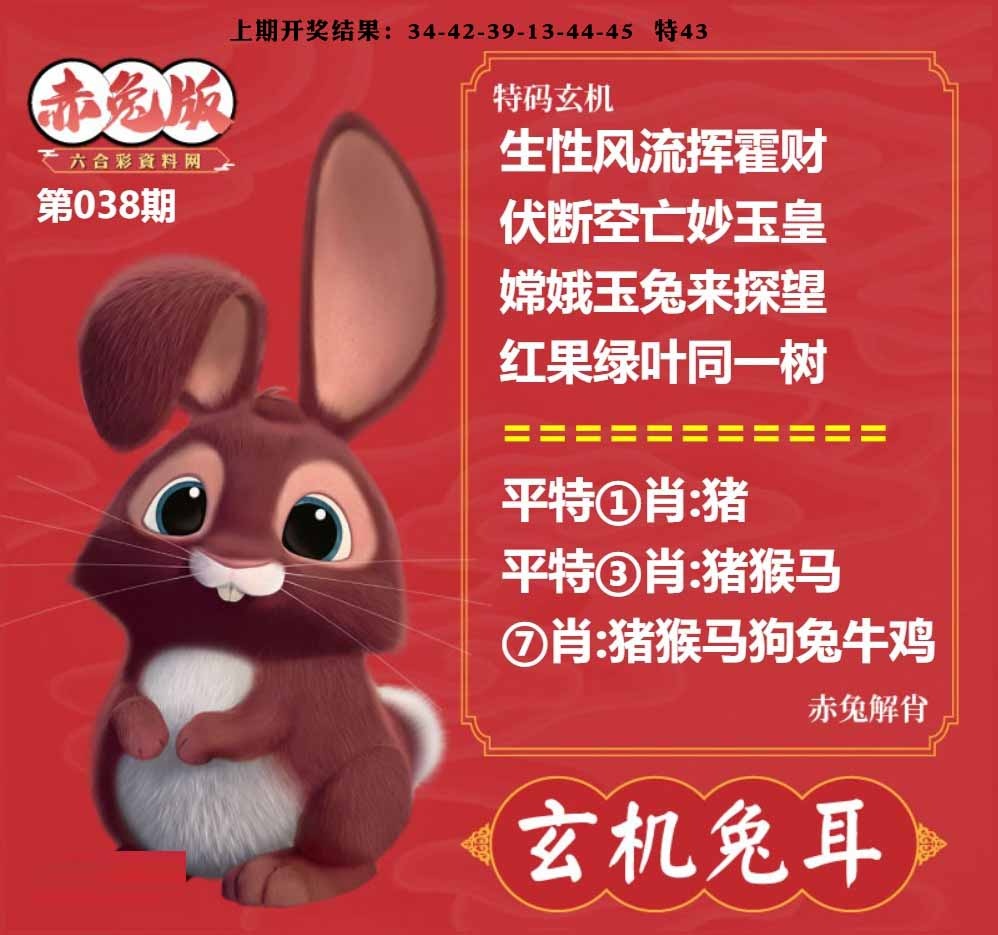 038期玄机兔耳[图]